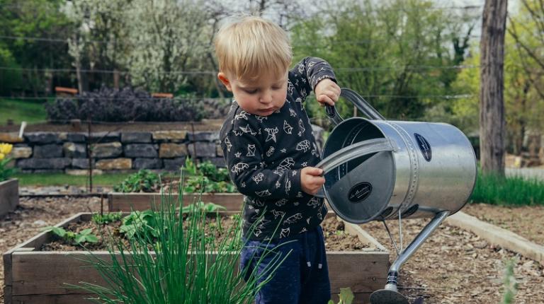  Child waters plats in a garden