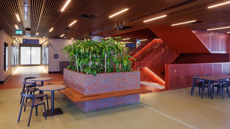  A modern space, painted red, lit by long led lights, with a large plant stand