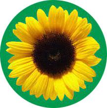 Hidden disabilities sunflower logo